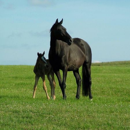 Gite De Solama Avec Spa Balleville Exteriér fotografie