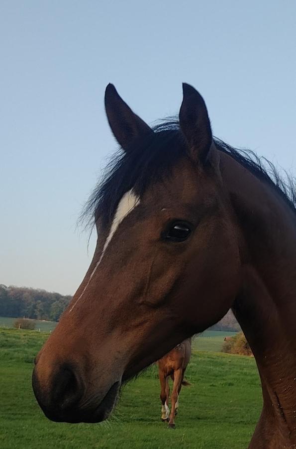 Gite De Solama Avec Spa Balleville Exteriér fotografie